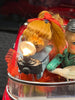 Vintage China Tin Battery Operated Photoing On Car ME630