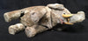 Vintage Wind Up Occupied Japan Elephant