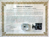 Apollo 13 Flown Heat Shield Fragment with COA