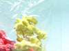 Bandai Japan Godaiken Erasers
