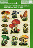 VINTAGE MEYERCORD KITCHY KITCHEN FRUIT DECAL ART